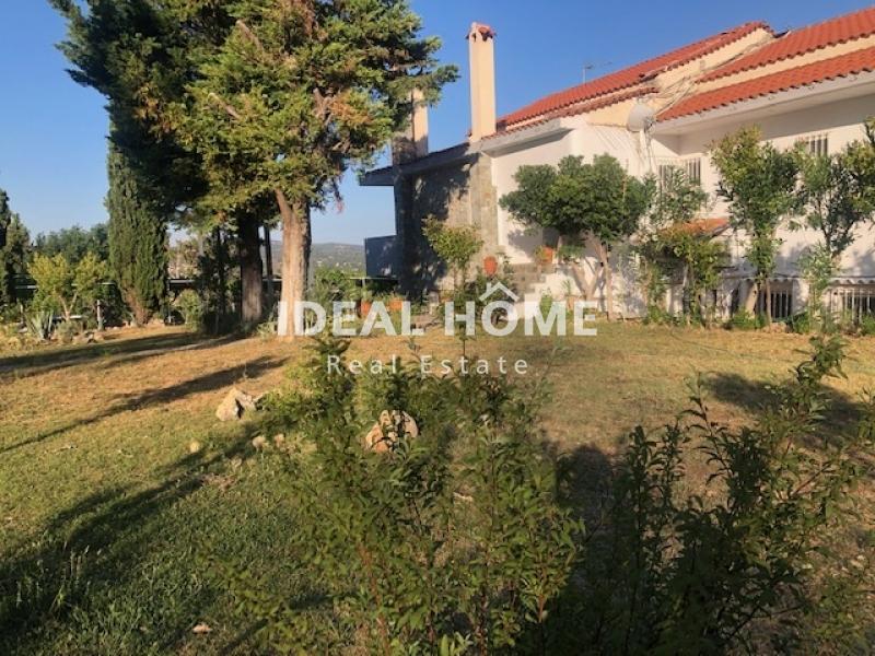 property-img